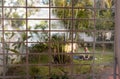 Girl doing yoga in the backyard of the house