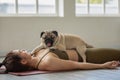 woman practice yoga with dog pug breed enjoy and relax with yoga at home Royalty Free Stock Photo