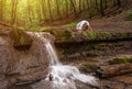 Woman practices yoga in nature, the waterfall. forest; Urdhva phanurasana; Dhanurasana pose