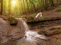 Woman practices yoga in nature, the waterfall. parsvakonasana pose