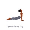Woman practicing urdhva mukha svanasana exercise flat vector illustration. Yoga practice. Girl doing upward facing dog pose