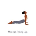 Woman practicing urdhva mukha svanasana exercise flat vector illustration. Yoga practice. Girl doing upward facing dog pose Royalty Free Stock Photo