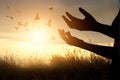 Woman praying and free bird enjoying nature on sunset background