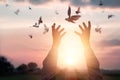 Woman praying and free the birds to nature on sunset background Royalty Free Stock Photo