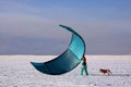 Woman prepares her kite. Snow kiting. Royalty Free Stock Photo