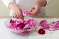 A woman prepares jam from roses, ingredients for jam from roses. Rustic style.