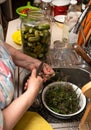 Woman preparing cucumbers for marinating