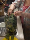Woman preparing cucumbers for marinating