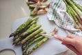 Woman preparing fresh green asparagus for cooking, peeling and slicing on cutting board, top view
