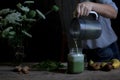 Woman preparing green and white smoothie with figs, banana, walnut, baby spinach and milk. Healthy eating and lifestyle concept. Royalty Free Stock Photo