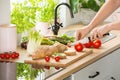 Woman preparing healthy breakfast, cutting a tomato in half and organic herbs and vegetables in a sunny kitchen interior Royalty Free Stock Photo