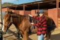 Woman preparing horse for walk - putting on a saddle and bridle Royalty Free Stock Photo