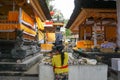 Woman preparing offering at Goa Gajah temple, Elephant cave, famous landmark Hindu, Bali, Indonesia,14.08.2018 Royalty Free Stock Photo