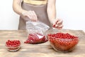 Woman preparing red currants in bowl for frozing in package at home kitchen for winter.peeling summer fruits, cooking Royalty Free Stock Photo