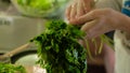 Woman preparing salad in the kitchen. Attractive girl while making salad in her kitchen at home Royalty Free Stock Photo