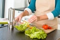 Woman preparing salad vegetables kitchen cooking food