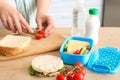 Woman preparing tasty lunch in kitchen