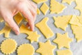 Woman preparing to bake homemade unbaked Christmas shortbread cookies in various shapes on tray. Appetizing golden color Royalty Free Stock Photo