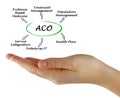 Accountable Care Organizations