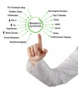 Presenting causes and effects of Metabolic Syndrome