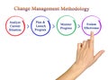 Presenting Change Management Methodology