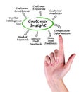 Diagram of Customer Insight