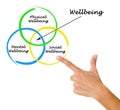 Diagram of wellbeing Royalty Free Stock Photo