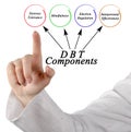 Presenting Four Components of DBT