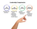 Four Leadership Competencies