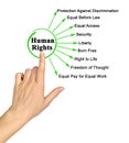 Presenting Nine Human Rights