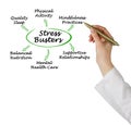 Presenting six stress Busters