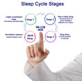 Presenting Sleep Cycle Stages Royalty Free Stock Photo