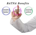 Presenting Three BATNA Benefits Royalty Free Stock Photo