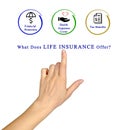 What Does Life Insurance Offer?