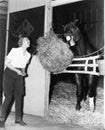 Woman pretending to eat hay bale with horse