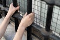 Woman in prison hands of behind hold Steel cage jail bars. offender criminal locked in jail Royalty Free Stock Photo