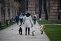 Woman professional dog walker exercising dogs in park