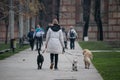 Woman professional dog walker exercising dogs in park