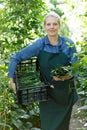 Woman professional horticulturist holding crate with habichuela