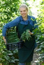 Woman professional horticulturist holding crate with habichuela