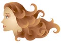 Woman Profile Long Brown Hair