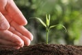 Woman protecting young green seedling in soil against blurred background Royalty Free Stock Photo