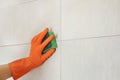 Woman in protective glove cleaning bathroom wall with sponge Royalty Free Stock Photo