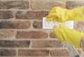 Woman in protective gloves disinfecting wall switches while cleaning at home, close-up view on hands Royalty Free Stock Photo