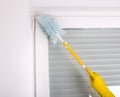 Woman dusting home