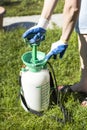The woman in protective gloves pumps the spray in the sprayer. Royalty Free Stock Photo