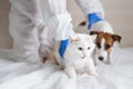 A woman in a protective suit is holding a dog and a cat Royalty Free Stock Photo