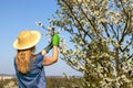 Woman pruning blooming fruit tree in garden Royalty Free Stock Photo