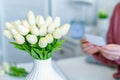 Woman pulling blank greeting card from bouquet of white tulips flowers. Mother day. Royalty Free Stock Photo
