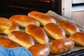 The woman pulls out ready-made Russian pies with filling from the oven. Homemade baking Royalty Free Stock Photo